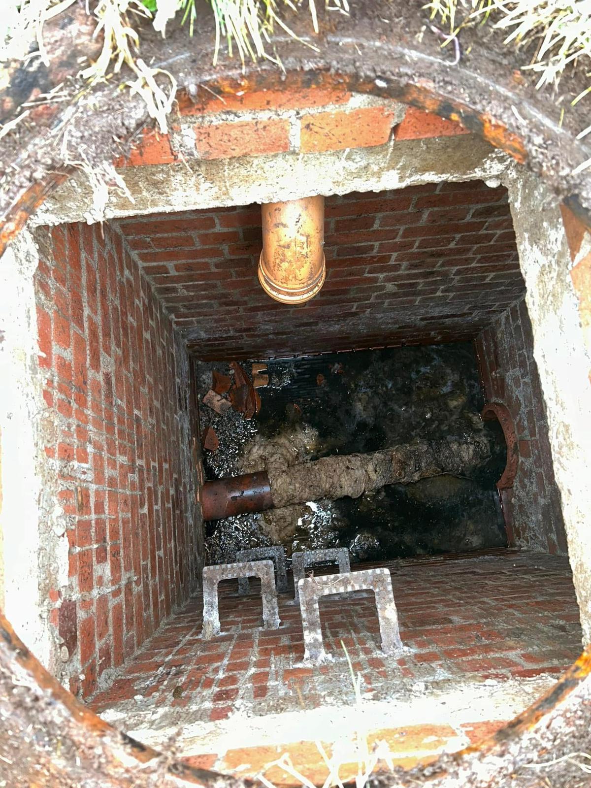 5d2504d1-33bc-4a32-81ca-5c1f3e861638