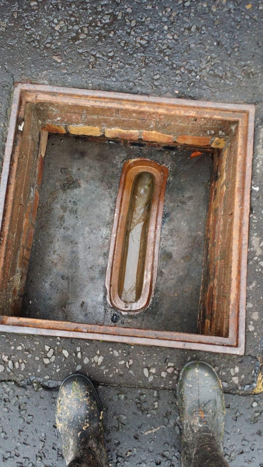 a089f5b4-fb52-4d24-bb9c-dc9809d224c1